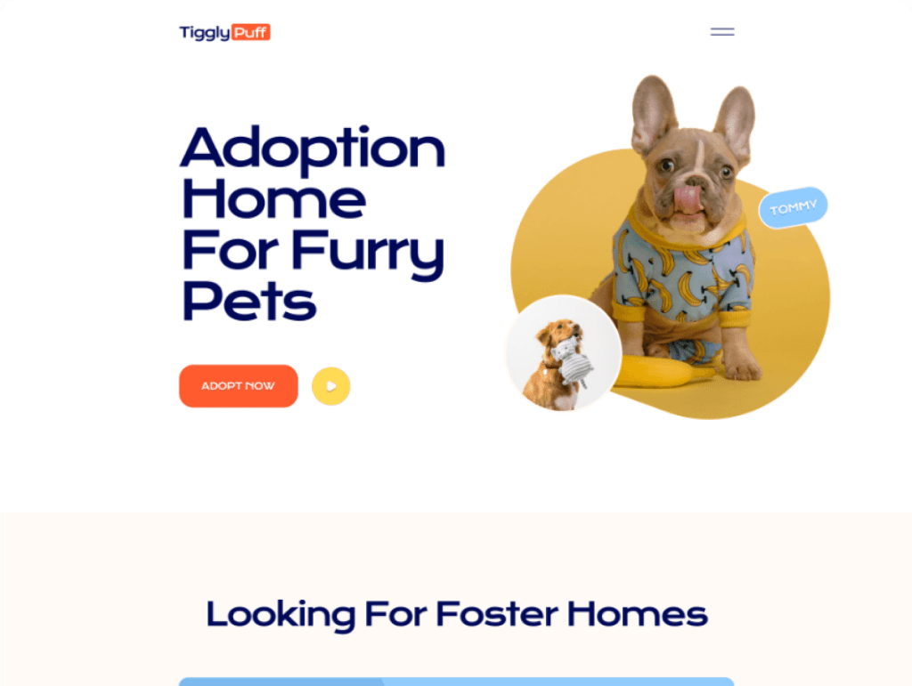 Hero banner promoting pet adoption: bold blue text 'Adoption Home For Furry Pets' with a dog in a yellow backdrop and an orange 'ADOPT NOW' button.